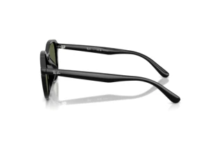 Side view Ray-Ban RB4459D (901/9A)