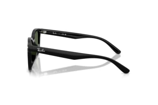 Side view Ray-Ban RB4461D (601/71)