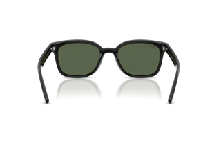 Rear view Ray-Ban RB4461D (601/71)