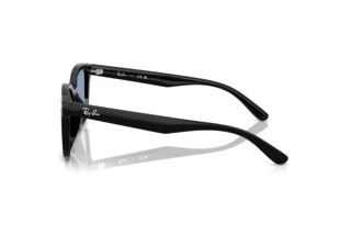 Side view Ray-Ban RB4461D (601/80)