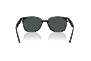 Rear view Ray-Ban RB4461D (601/87)
