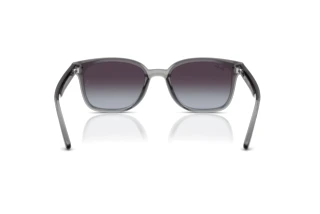 Rear view Ray-Ban RB4461D (64508G)