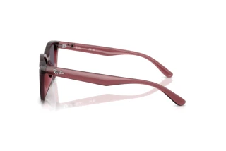 Side view Ray-Ban RB4461D (659373)