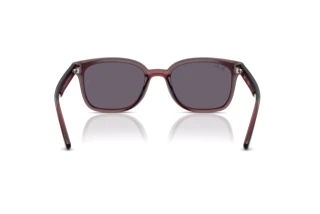 Rear view Ray-Ban RB4461D (659373)