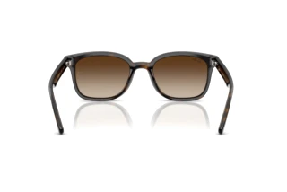 Rear view Ray-Ban RB4461D (710/13)