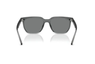 Rear view Ray-Ban RB4466D (645087)