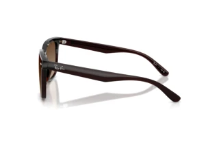 Side view Ray-Ban RB4466D (714/13)