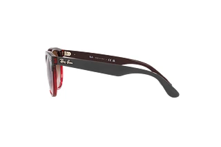 Side view Ray-Ban IRIS (RB4471 - 663113)