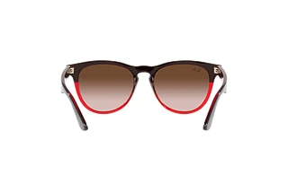 Rear view Ray-Ban IRIS (RB4471 - 663113)