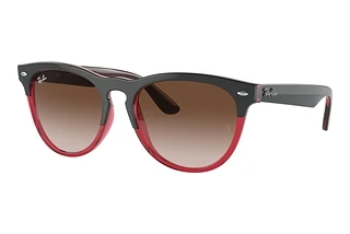 Front view Ray-Ban IRIS (RB4471 - 663113)
