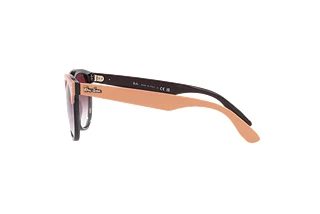 Side view Ray-Ban IRIS (RB4471 - 66338H)