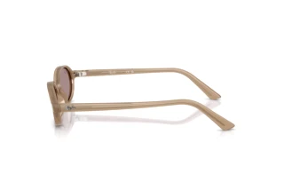 Side view Ray-Ban RB4472 (6891LA)