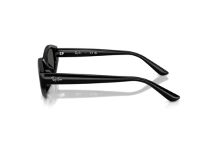 Side view Ray-Ban RB4473D (667787)