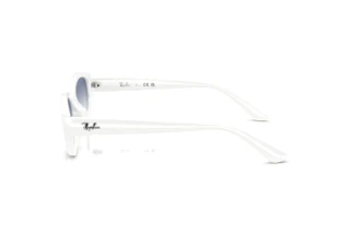 Side view Ray-Ban RB4473D (677219)