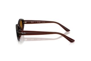 Side view Ray-Ban RB4473D (714/83)