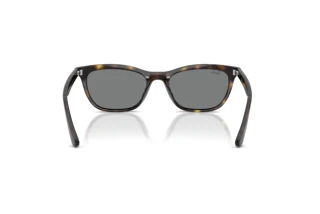 Rear view Ray-Ban RB4474D (710/87)