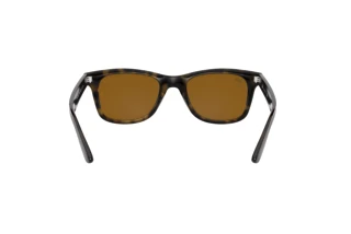Rear view Ray-Ban RB4640 (710/33)