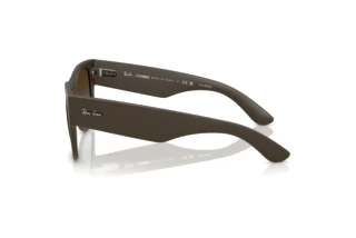Side view Ray-Ban RB4840S (6124T5)