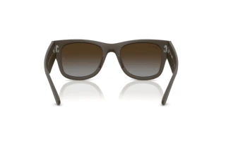 Rear view Ray-Ban RB4840S (6124T5)