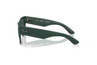 Side view Ray-Ban RB4840S (665787)