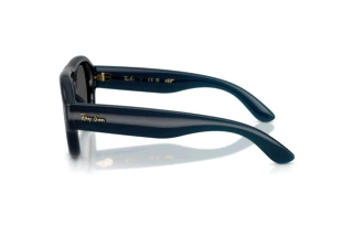 Side view Ray-Ban RB4925 (689587)