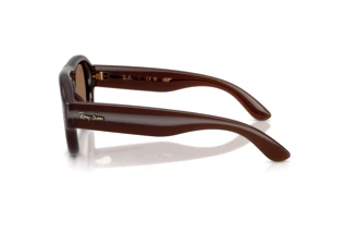 Side view Ray-Ban RB4925 (689673)