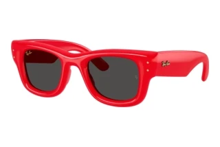 Front view Ray-Ban WAYFARER PUFFER (RB4940 - 683187)