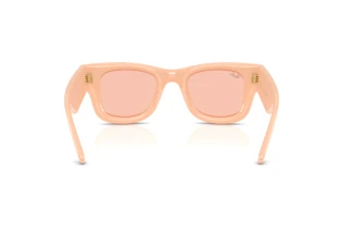 Rear view Ray-Ban WAYFARER PUFFER (RB4940 - 687584)