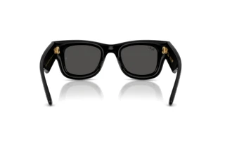 Rear view Ray-Ban WAYFARER PUFFER (RB4940BP - 686587)