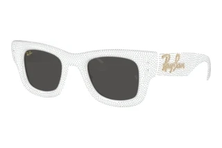 Front view Ray-Ban WAYFARER PUFFER (RB4940BP - 686687)