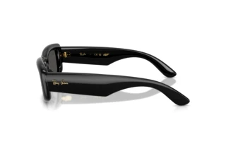 Side view Ray-Ban RB4944 (601/87)
