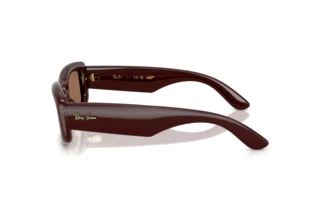 Side view Ray-Ban RB4944 (687773)