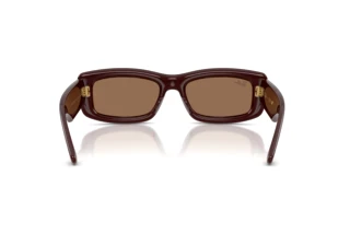 Rear view Ray-Ban RB4944 (687773)