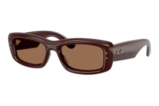 Front view Ray-Ban RB4944 (687773)