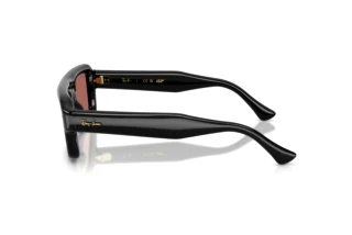 Side view Ray-Ban RB4954 (601/69)