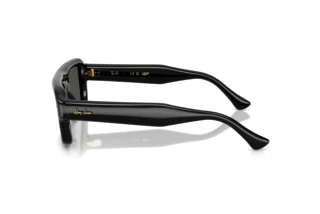 Side view Ray-Ban RB4954 (601/87)