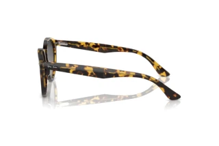 Side view Ray-Ban LARRY (RB7680S - 1332GL)