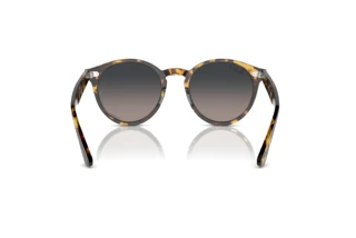 Rear view Ray-Ban LARRY (RB7680S - 1332GL)