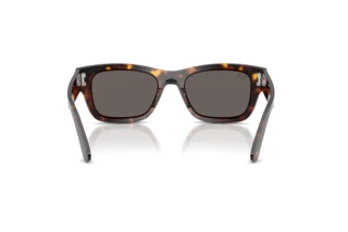 Rear view Ray-Ban JOSEPH (RB7683S - 902/B1)