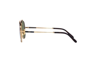 Side view Ray-Ban AVIATOR TITANIUM (RB8225 - 313852)