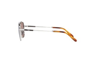 Side view Ray-Ban FRANK II TITANIUM (RB8258 - 3139O4)