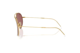 Side view Ray-Ban AVIATOR REVERSE (RBR0101S - 001/69)