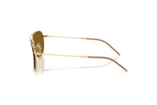 Side view Ray-Ban CARAVAN REVERSE (RBR0102S - 001/83)