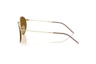 Side view Ray-Ban ROUND REVERSE (RBR0103S - 001/83)