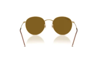 Rear view Ray-Ban ROUND REVERSE (RBR0103S - 001/83)
