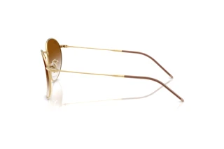 Side view Ray-Ban ROUND REVERSE (RBR0103S - 001/CB)