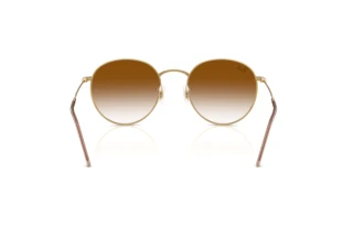 Rear view Ray-Ban ROUND REVERSE (RBR0103S - 001/CB)