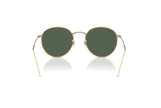 Rear view Ray-Ban ROUND REVERSE (RBR0103S - 001/VR)