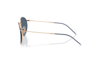Side view Ray-Ban ROUND REVERSE (RBR0103S - 92023A)