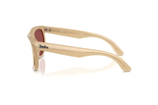 Side view Ray-Ban WAYFARER REVERSE (RBR0502S - 678069)